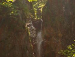 2013-07-20_Regina-F-Rau_Kochel-Rabenkopf (118).JPG